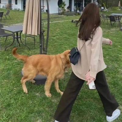 星期天的多明哥